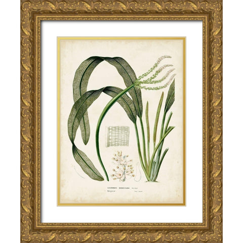 Small Tropical Grass I Gold Ornate Wood Framed Art Print with Double Matting by Vision Studio