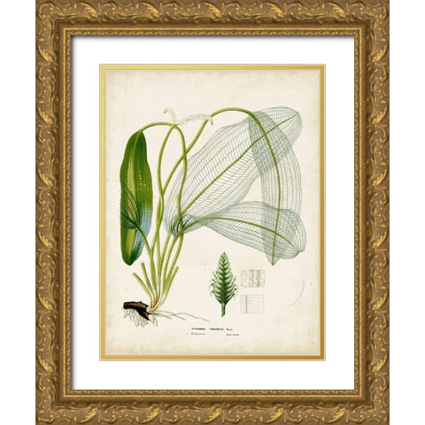 Small Tropical Grass II Gold Ornate Wood Framed Art Print with Double Matting by Vision Studio