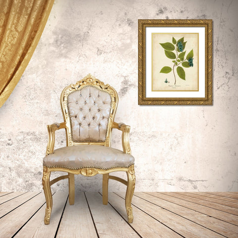 Hornbeam Tree Foliage Gold Ornate Wood Framed Art Print with Double Matting by Torrey, John