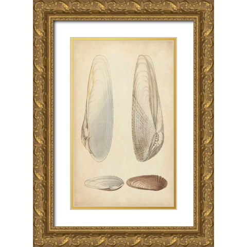 Marine Mollusk II Gold Ornate Wood Framed Art Print with Double Matting by Wood