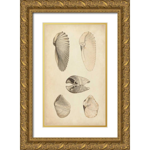 Marine Mollusk III Gold Ornate Wood Framed Art Print with Double Matting by Wood