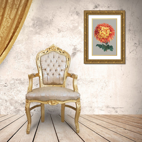 Chrysanthemum on Gray I Gold Ornate Wood Framed Art Print with Double Matting by Vision Studio