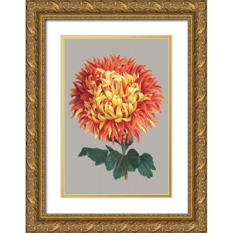 Chrysanthemum on Gray I Gold Ornate Wood Framed Art Print with Double Matting by Vision Studio