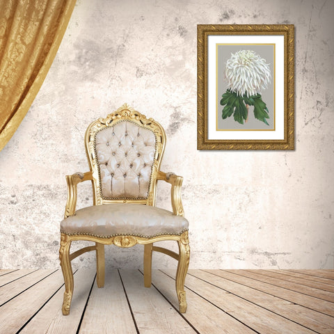 Chrysanthemum on Gray II Gold Ornate Wood Framed Art Print with Double Matting by Vision Studio