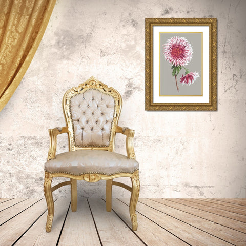 Chrysanthemum on Gray III Gold Ornate Wood Framed Art Print with Double Matting by Vision Studio