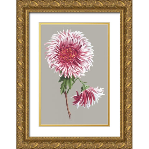 Chrysanthemum on Gray III Gold Ornate Wood Framed Art Print with Double Matting by Vision Studio