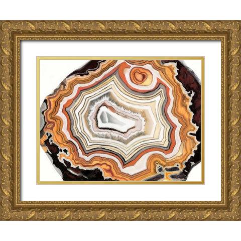 Agate Studies IV Gold Ornate Wood Framed Art Print with Double Matting by McCavitt, Naomi