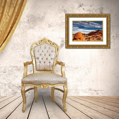 Valley of Fire Gold Ornate Wood Framed Art Print with Double Matting by Head, Danny
