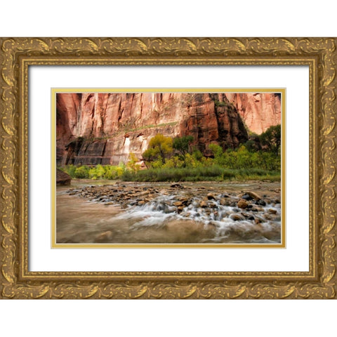 Water and Stone Gold Ornate Wood Framed Art Print with Double Matting by Head, Danny