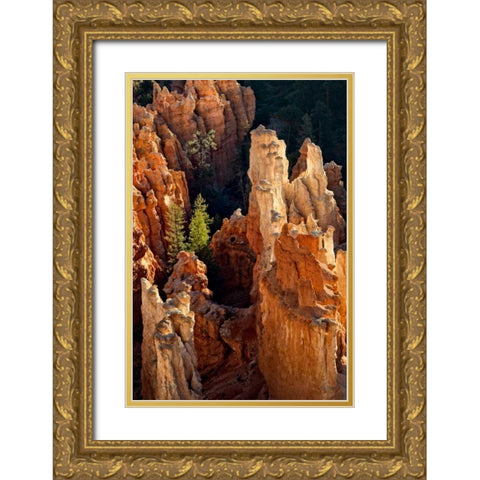 Two Pines Gold Ornate Wood Framed Art Print with Double Matting by Head, Danny