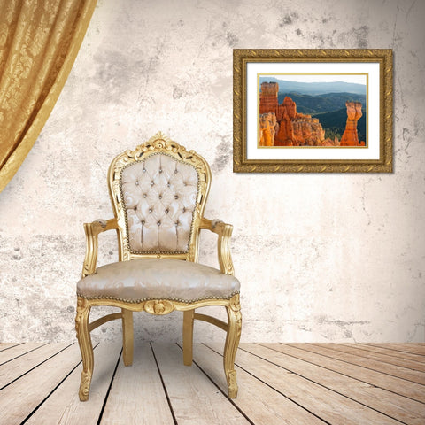 On the Rocks, Utah Gold Ornate Wood Framed Art Print with Double Matting by Head, Danny