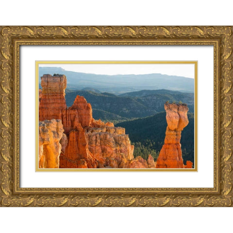 On the Rocks, Utah Gold Ornate Wood Framed Art Print with Double Matting by Head, Danny