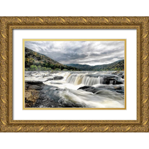 Who Flushed Gold Ornate Wood Framed Art Print with Double Matting by Head, Danny