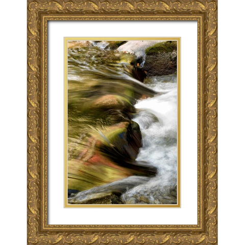 Water Abstract I Gold Ornate Wood Framed Art Print with Double Matting by Head, Danny