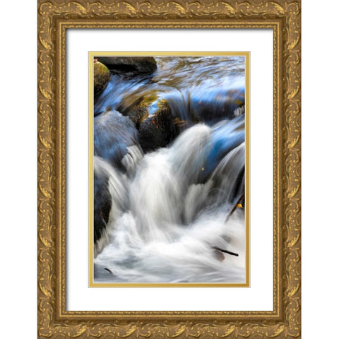 Water Abstract II Gold Ornate Wood Framed Art Print with Double Matting by Head, Danny