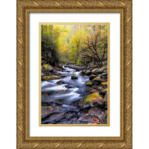 Nightfall on Tremont II Gold Ornate Wood Framed Art Print with Double Matting by Head, Danny