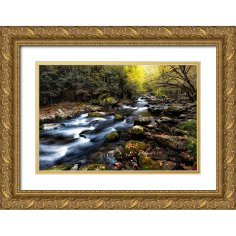 Nightfall Closes In Gold Ornate Wood Framed Art Print with Double Matting by Head, Danny