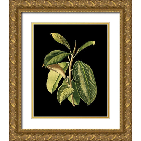 Custom Green Leaves on Black I (LG) Gold Ornate Wood Framed Art Print with Double Matting by Vision Studio