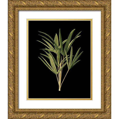 Custom Green Leaves on Black II (LG) Gold Ornate Wood Framed Art Print with Double Matting by Vision Studio