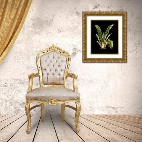 Custom Green Leaves on Black III (LG) Gold Ornate Wood Framed Art Print with Double Matting by Vision Studio