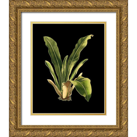 Custom Green Leaves on Black III (LG) Gold Ornate Wood Framed Art Print with Double Matting by Vision Studio