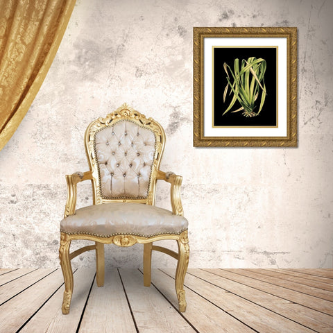 Custom Green Leaves on Black IV (LG) Gold Ornate Wood Framed Art Print with Double Matting by Vision Studio