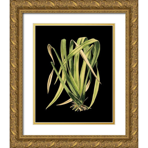 Custom Green Leaves on Black IV (LG) Gold Ornate Wood Framed Art Print with Double Matting by Vision Studio