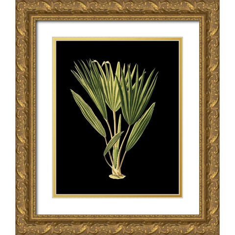 Custom Green Leaves on Black V (LG) Gold Ornate Wood Framed Art Print with Double Matting by Vision Studio