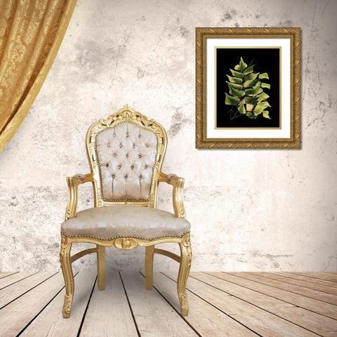 Custom Green Leaves on Black VI (LG) Gold Ornate Wood Framed Art Print with Double Matting by Vision Studio