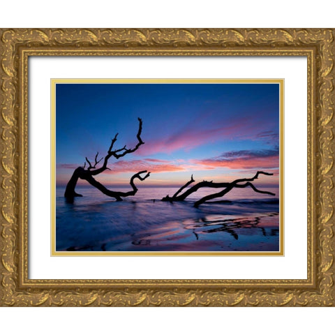 Driftwood Beach Gold Ornate Wood Framed Art Print with Double Matting by Burchett, P.H.