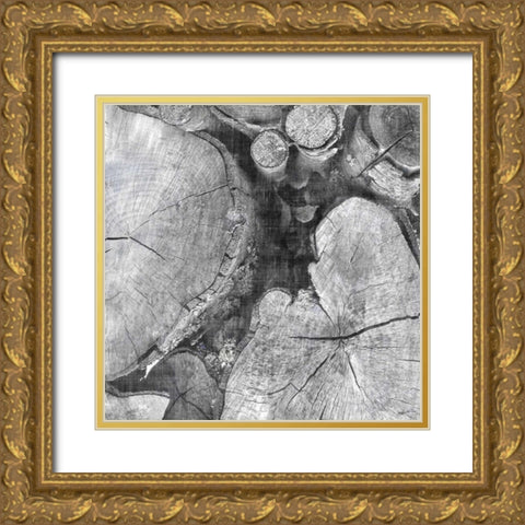 Logging Light I Gold Ornate Wood Framed Art Print with Double Matting by Butler, John