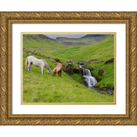Icelandic Horses I Gold Ornate Wood Framed Art Print with Double Matting by Burchett, P.H.