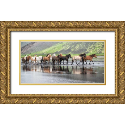 Icelandic Horses XIV Gold Ornate Wood Framed Art Print with Double Matting by Burchett, P.H.