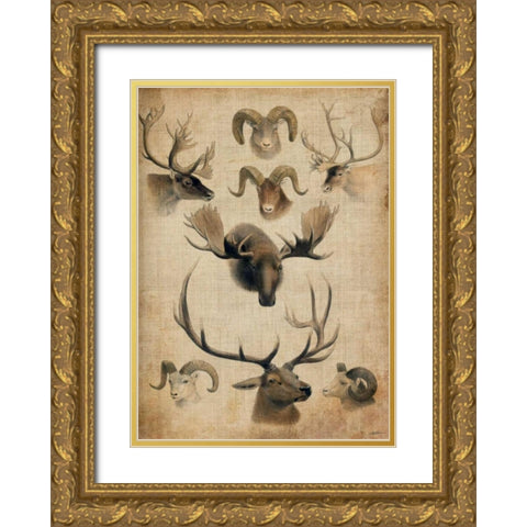American Trophy I Gold Ornate Wood Framed Art Print with Double Matting by Butler, John