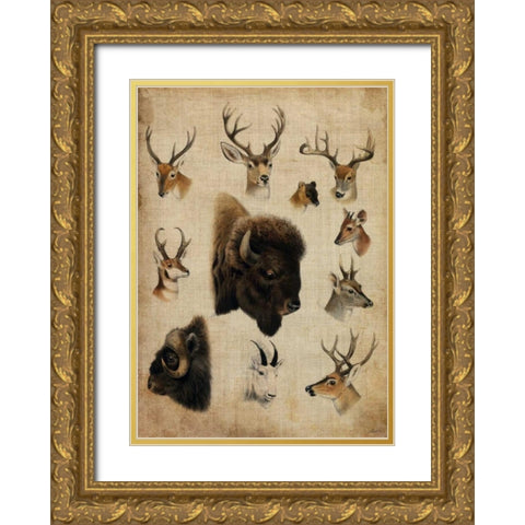 American Trophy III Gold Ornate Wood Framed Art Print with Double Matting by Butler, John