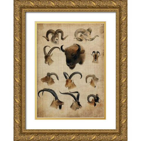 American Trophy IV Gold Ornate Wood Framed Art Print with Double Matting by Butler, John