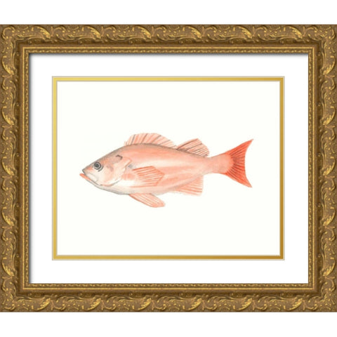 Watercolor Deep Sea Fish I Gold Ornate Wood Framed Art Print with Double Matting by McCavitt, Naomi