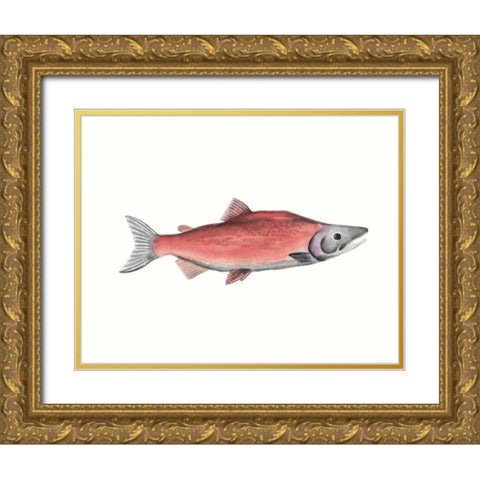 Watercolor Deep Sea Fish III Gold Ornate Wood Framed Art Print with Double Matting by McCavitt, Naomi
