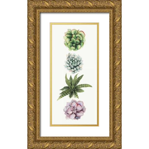 Row of Succulents II Gold Ornate Wood Framed Art Print with Double Matting by Popp, Grace