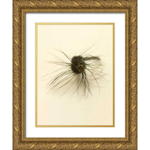 Macro Lure III Gold Ornate Wood Framed Art Print with Double Matting by Stalus, Judy