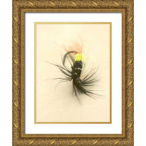 Macro Lure VII Gold Ornate Wood Framed Art Print with Double Matting by Stalus, Judy