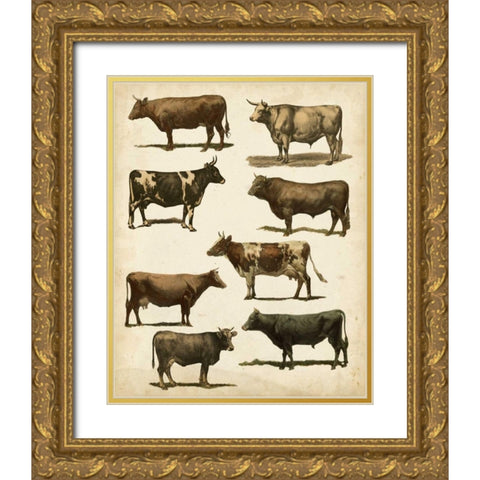 Antique Cow Chart Gold Ornate Wood Framed Art Print with Double Matting by Vision Studio