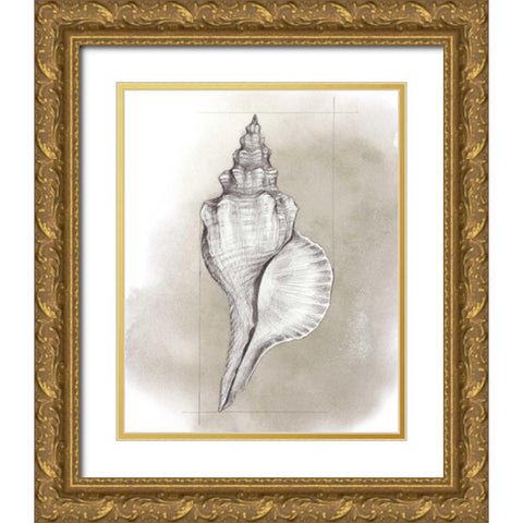 Shell Diagram I Gold Ornate Wood Framed Art Print with Double Matting by Popp, Grace