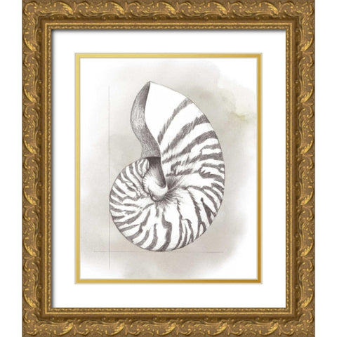 Shell Diagram III Gold Ornate Wood Framed Art Print with Double Matting by Popp, Grace