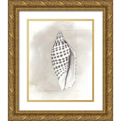 Shell Diagram IV Gold Ornate Wood Framed Art Print with Double Matting by Popp, Grace