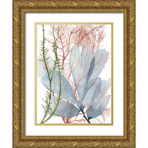 Seaweed Flow I Gold Ornate Wood Framed Art Print with Double Matting by Popp, Grace