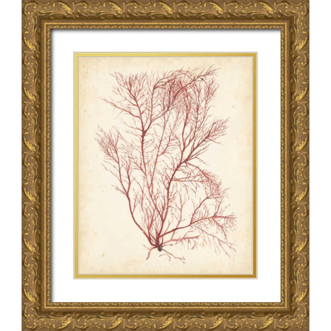 Watercolor Sea Grass I Gold Ornate Wood Framed Art Print with Double Matting by Popp, Grace