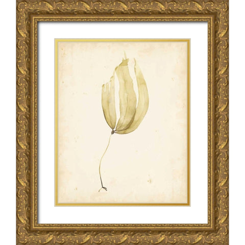 Watercolor Sea Grass III Gold Ornate Wood Framed Art Print with Double Matting by Popp, Grace