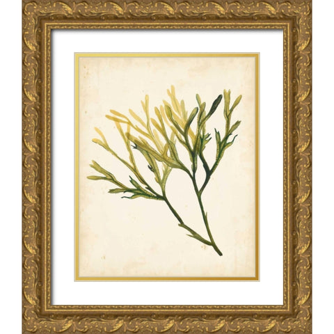 Watercolor Sea Grass V Gold Ornate Wood Framed Art Print with Double Matting by Popp, Grace