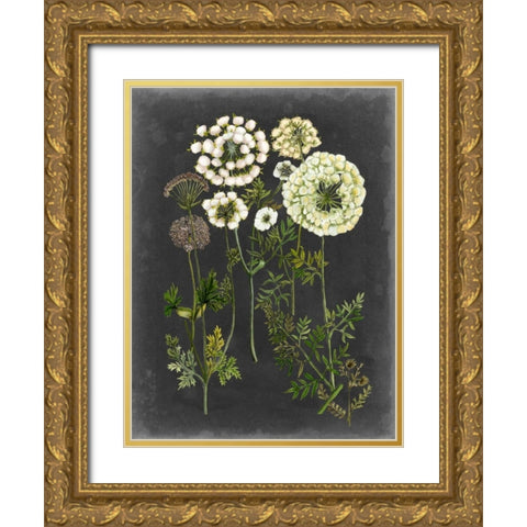 Bookplate Floral II Gold Ornate Wood Framed Art Print with Double Matting by McCavitt, Naomi